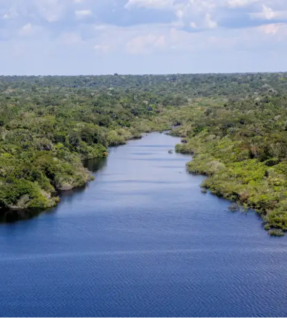 Fundo Florestas Tropicais para Sempre: entenda a principal aposta do Brasil na Cúpula do Clima