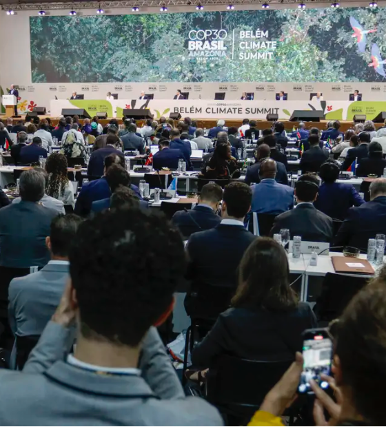 Fundo das Florestas Tropicais ganha apoio político e atinge metade do investimento na Cúpula