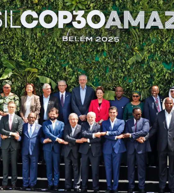 Fundo de florestas tropicais recebe 10 milhões de dólares de bilionário australiano