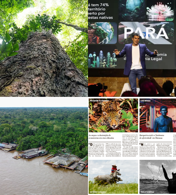 Giro O Amazônico: Fundo Amazônia, Ilha do Combu na COP e mais… Leia aqui.