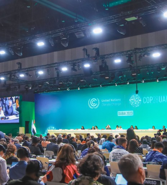 Começou a COP 30: o que podemos esperar das decisões?