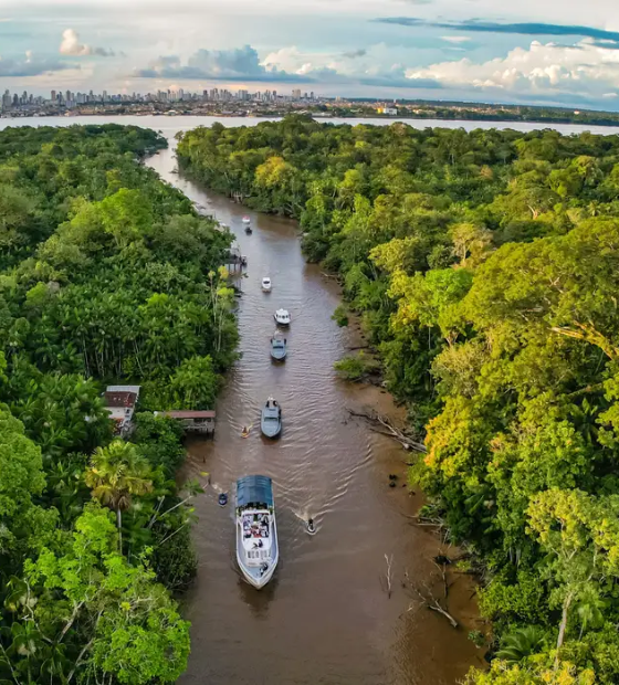 Relatório sugere conectividade ecológica na Amazônia durante COP 30