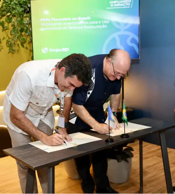 Governo do Pará e BID firmam acordo inédito pela restauração florestal no Brasil