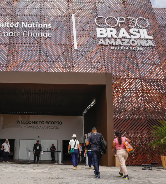 Desinformação climática é uma das principais pautas da COP 30