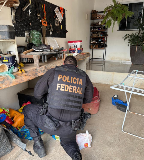 Grilagem, desmatamento e 400 milhões em danos ambientais: PF deflagra operação no Oeste do Pará.