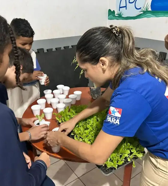 Pará recebe prêmio Brasil sem Fome por combate à insegurança alimentar