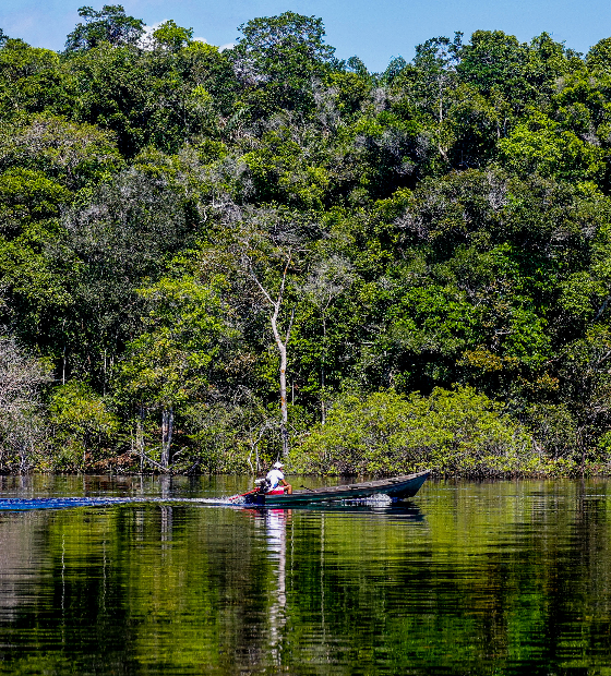 Congresso derruba vetos de Lula à lei do licenciamento ambiental