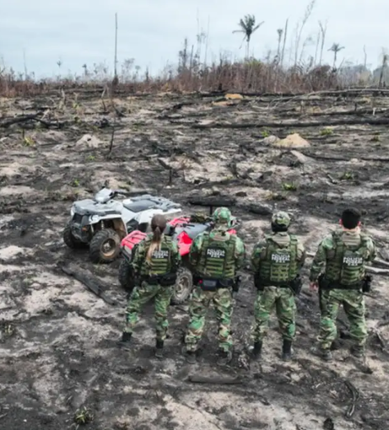 Estudo mostra que combate ao desmatamento diminui violência na Amazônia 