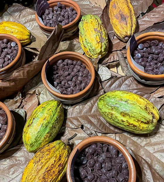 Programa financiado pelo Fundo Amazônia beneficia sistemas socioprodutivos no Pará