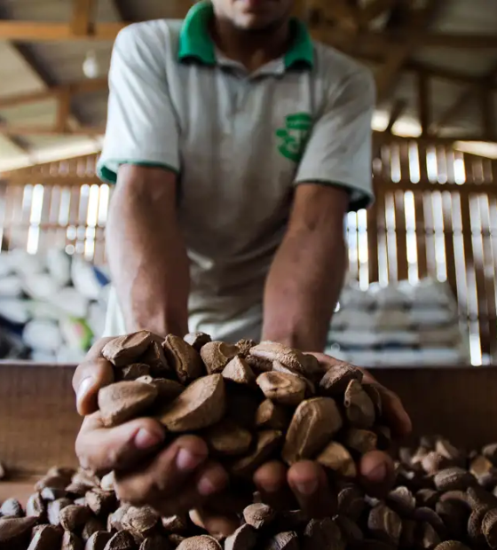 Deu no Estadão: a nova onda é bioeconomia, e não mais o desmatamento na Amazônia.