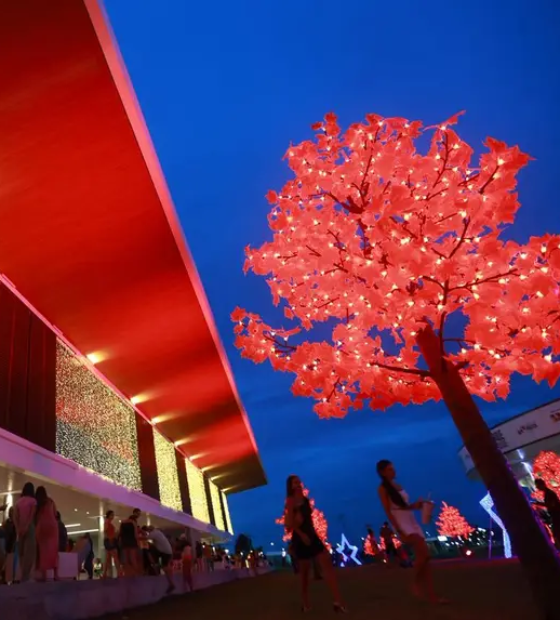 Natal do Parque da Cidade promove atrações musicais neste final de semana