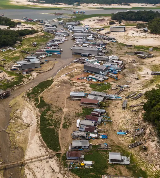 Estudo aponta diminuição em 50 por cento na vazão dos rios da Amazônia 
