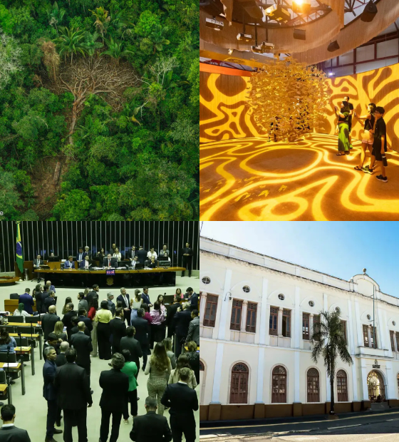 Giro O Amazônico: meio ambiente em foco, oportunidade de estudo e mais. Leia aqui.