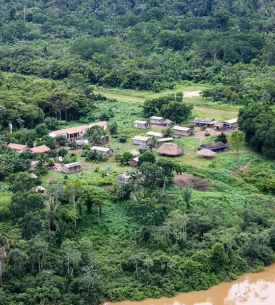 Relatório aponta Terra indígena ameaçada no Pará por gado invasor