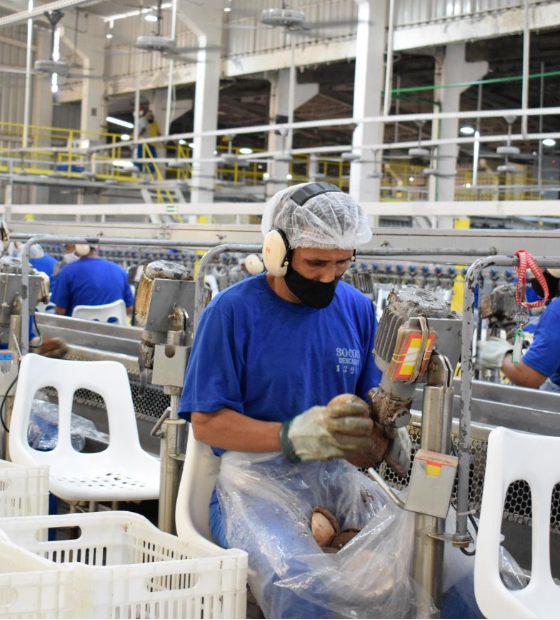 Oportunidade: Plataforma SINE abre vagas de emprego para diferentes níveis de experiência no Pará.