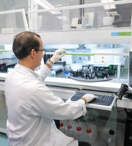 Casos de malária: projeto do Albert Einstein promete diagnóstico em 15 minutos.