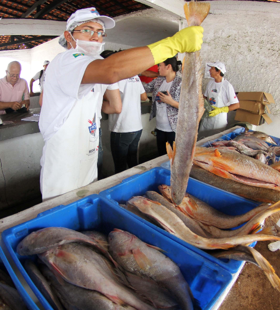 Carestia: pescado sobe até 17 porcento em Belém, afirma Dieese.