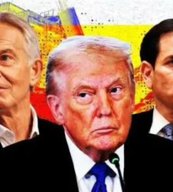 Conselho da Paz para Gaza: O que significa a proposta de Trump para o mundo?