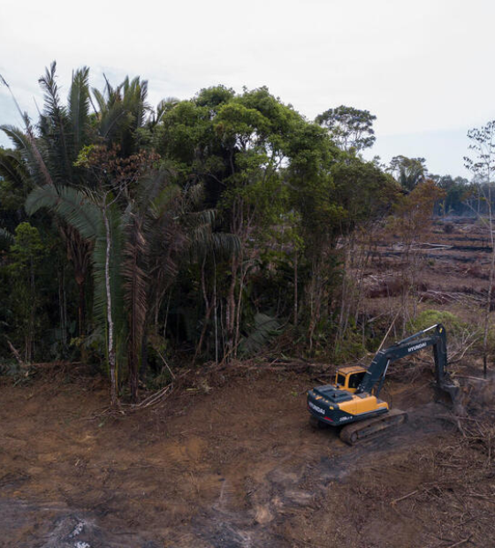 Crise climática: Estudo mostra aumento de 3ºC na temperatura da Amazônia pelo desmatamento.