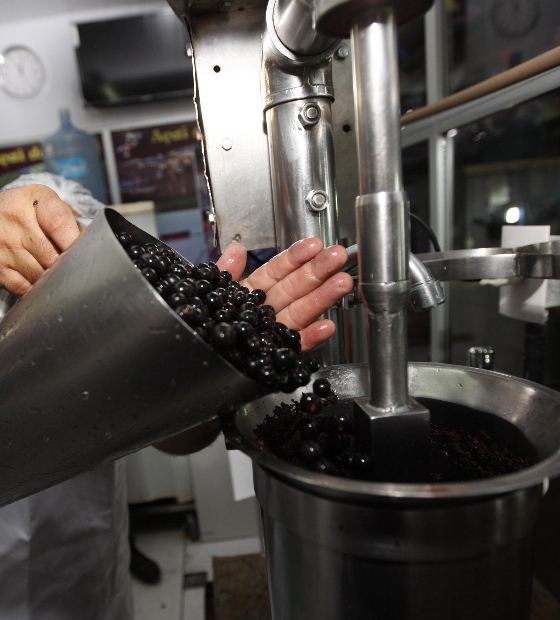 Sesma oferta cursos gratuitos de manipulação de açaí e bacaba