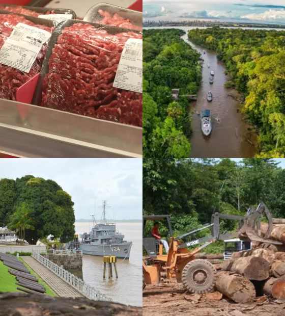 Giro O Amazônico: Alta no preço da carne, menos orçamento para as florestas e mais destaques.