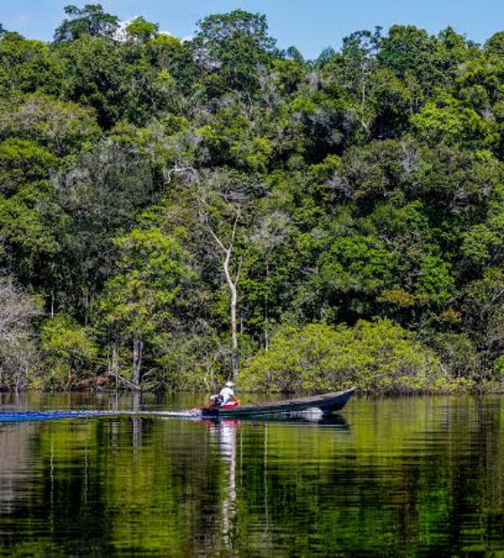 Edital fortalece pesquisas na Amazônia com orçamento de 150 milhões de reais