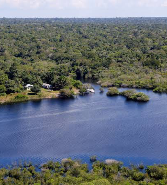 Amazônia no centro do mundo: encontro latino-americano de ministros discute futuro da região.