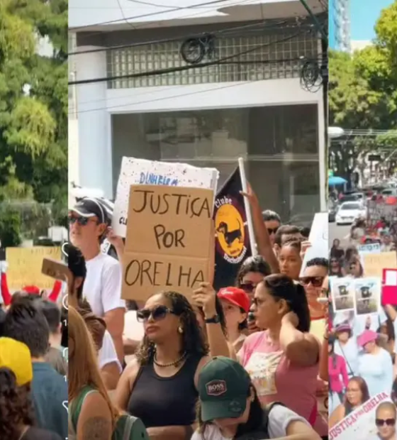  Caso cachorro Orelha: defensores dos animais protestam em Belém e outras capitais do Brasil.