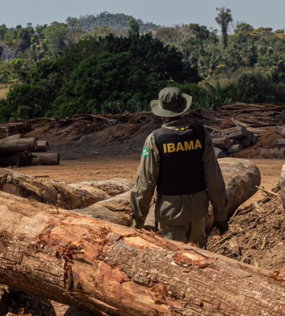 Fiscalização na Amazônia aumenta nos últimos dois anos, e multas acompanham crescimento 