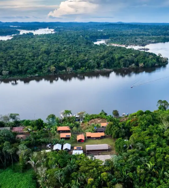 Fundo Amazônia abre edital de fomento a projetos de produção agrícola comunitária na região 