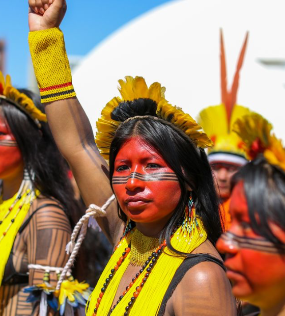 Terras indígenas na Amazônia são pressionadas com o desmatamento, aponta estudo