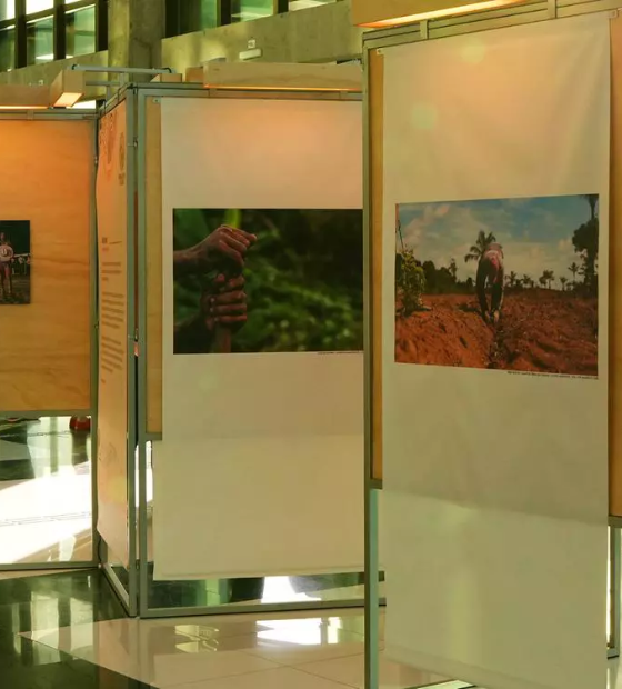 Belém recebe exposição sobre a ancestralidade dos povos da floresta na Amazônia 