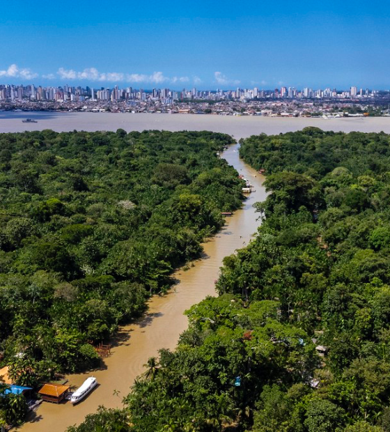 Brasil está entre os países líderes de relatório que propõe enfrentamento à desinformação climática 