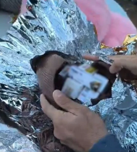 PM encontra remédios para emagrecimento dentro de ovos de Páscoa “fitness”