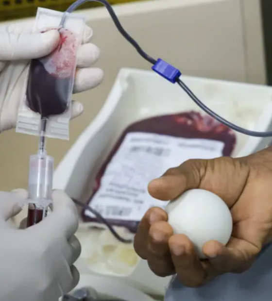 Dia Mundial da Saúde: Doação de sangue garante funcionamento da rede de saúde e salva vidas diariamente.