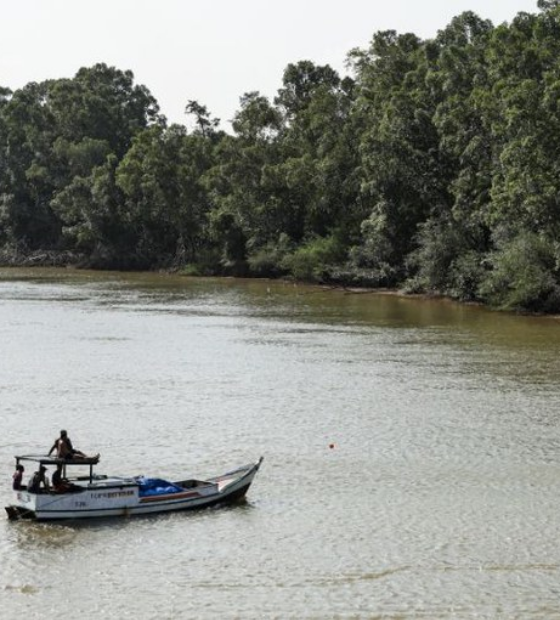 Justiça Federal acompanha MPF e garante posse de terra a beneficiário de reforma agrária no Marajó