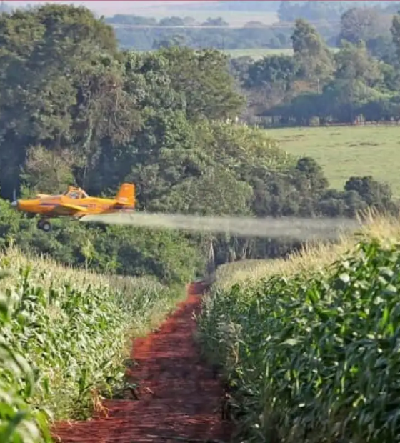 Meio Ambiente: governo lança painel para monitorar presença de agrotóxico em bacias hidrográficas.