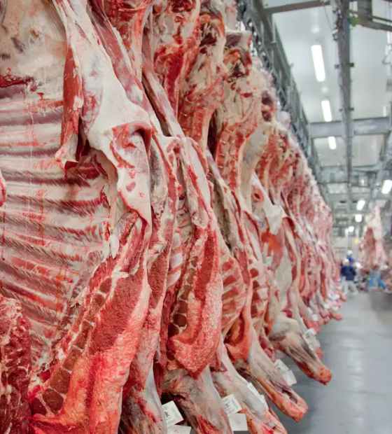 Barrados na Europa: Governo promete reverter veto da UE a carnes e animais brasileiros