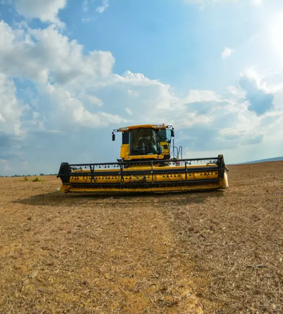 Pará registra superávit de US$ 21,5 bilhões e mantém terceira maior balança comercial do País em 2025
