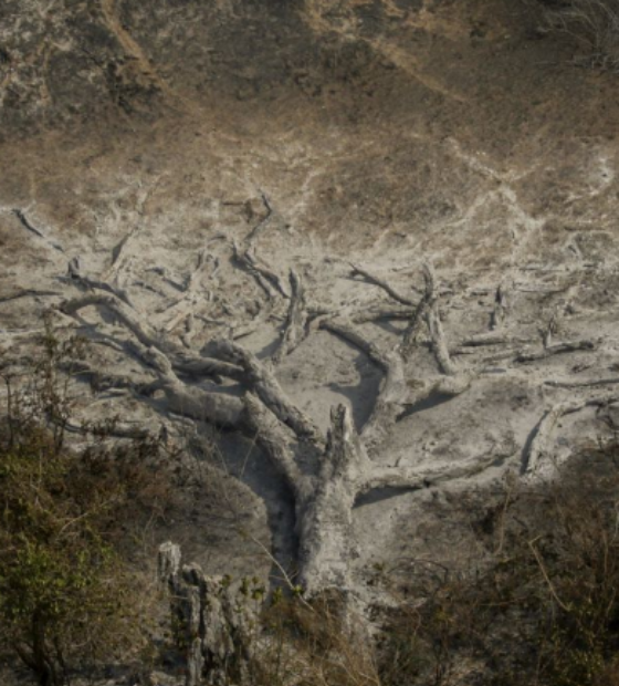 Mudanças climáticas já afetam 85 por cento dos brasileiros, diz pesquisa