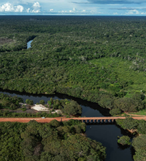 Na Transamazônica: atravessados por rodovia, Pirahãs enfrentam malária sem fim, insegurança alimentar e disputa política.