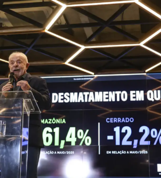Desmatamento na Amazônia cai 61,4 por cento em maio de 2026