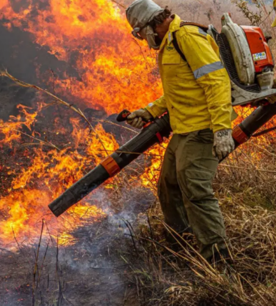Medida Provisória: Governo repassa 337 milhões de reais para combater incêndios e desmatamento.