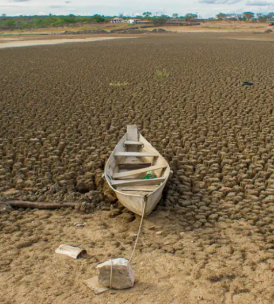 Desertificação: COP17 entra em semana decisiva com missão de destravar financiamento