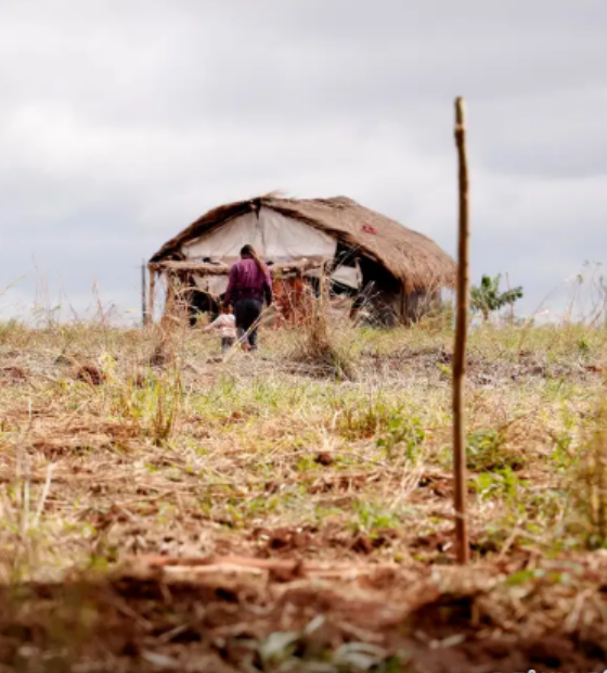 Cai número de assassinatos no campo, mas aumenta o de conflitos, diz Comissão Pastoral da Terra