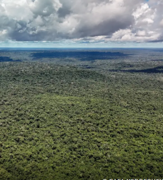 Devastação na Amazônia pode quebrar maior "máquina de chuva" do mundo