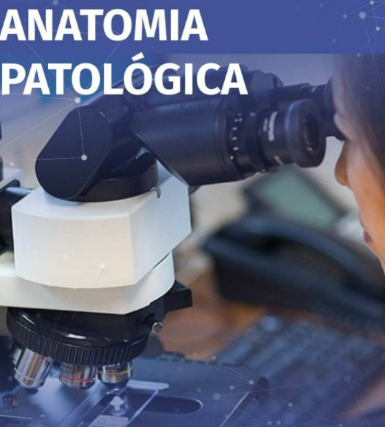 Em OESTADONET: Santarém terá laboratório regional para diagnóstico de câncer e atendimento a outros 29 municípios