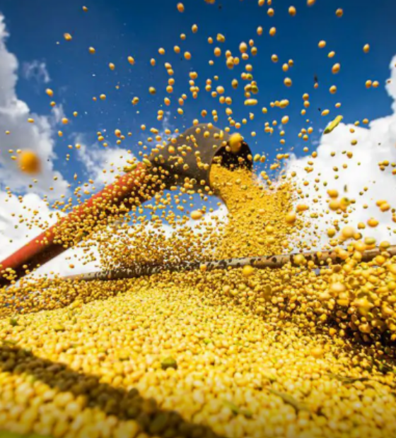 Quase 1 trilhão: Produção agrícola brasileira superou R$ 927 bilhões em 2025