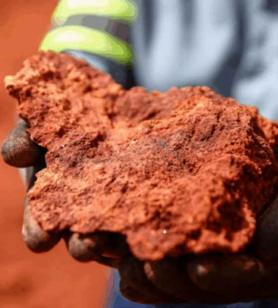 Grandes projetos na Amazônia - Lúcio Flávio Pinto em OESTADONET: As mutações da MRN - Mineradora que atua na Calha Norte é a maior produtora de bauxita do Brasil e a 3ª do mundo