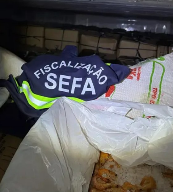 Sefa apreende oito toneladas de camarão escondidas em carga no nordeste do estado